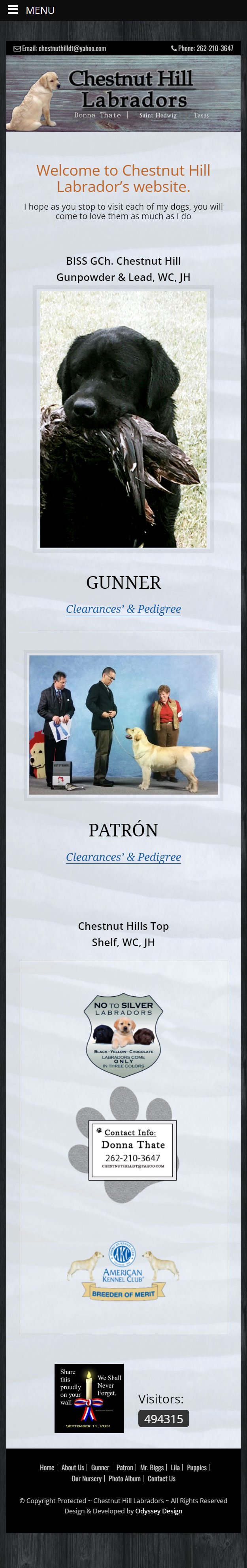 Chestnut Hill Labradors min 1
