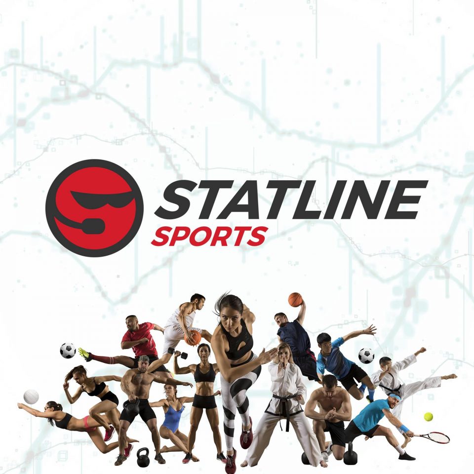 statline logo d