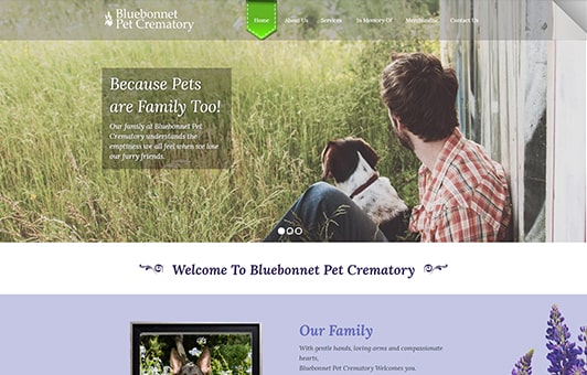 Website Plans web preview05