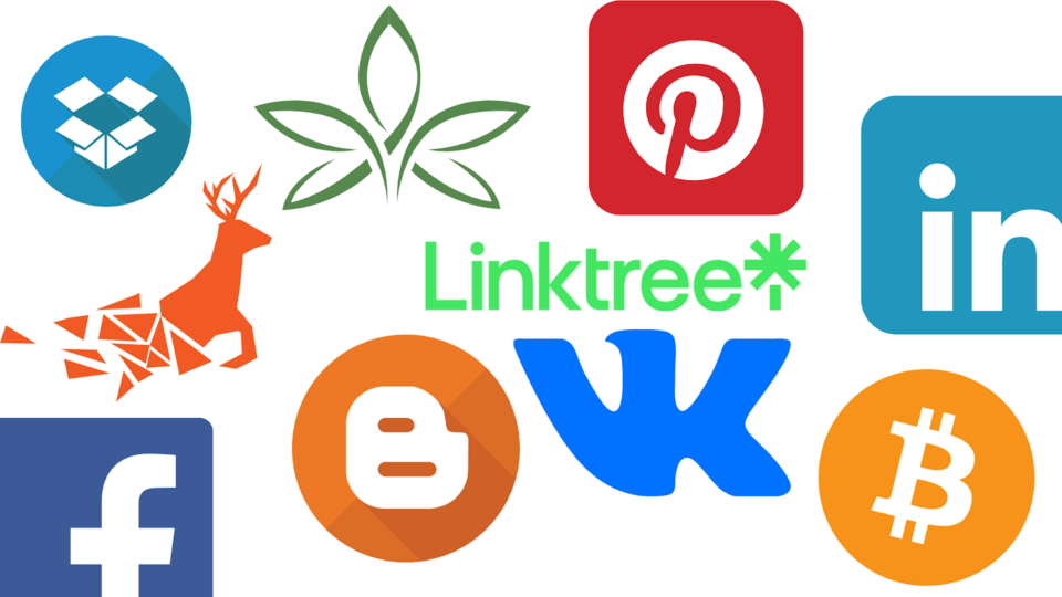 Top 9 Logo Design Trends of 2024  thumbnail